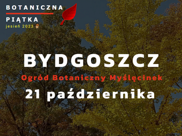 Zadebiutuj podczas Botanicznej Piątki - biegaj, maszeruj, spaceruj!
