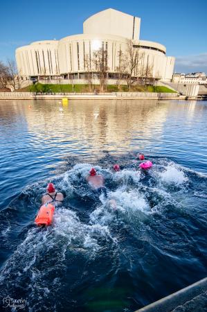 FOCUS Ice Swimming Bydgoszcz Festival - największa w Polsce impreza w zimowym pływaniu już za 2 dni!