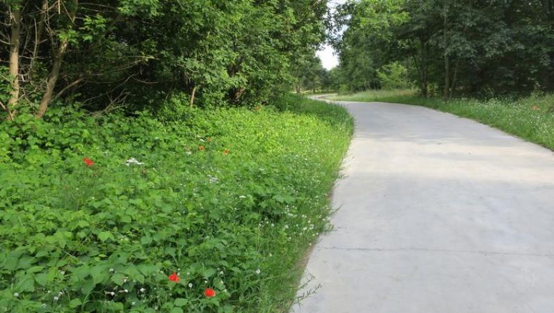 Aktywnie na Glinkach